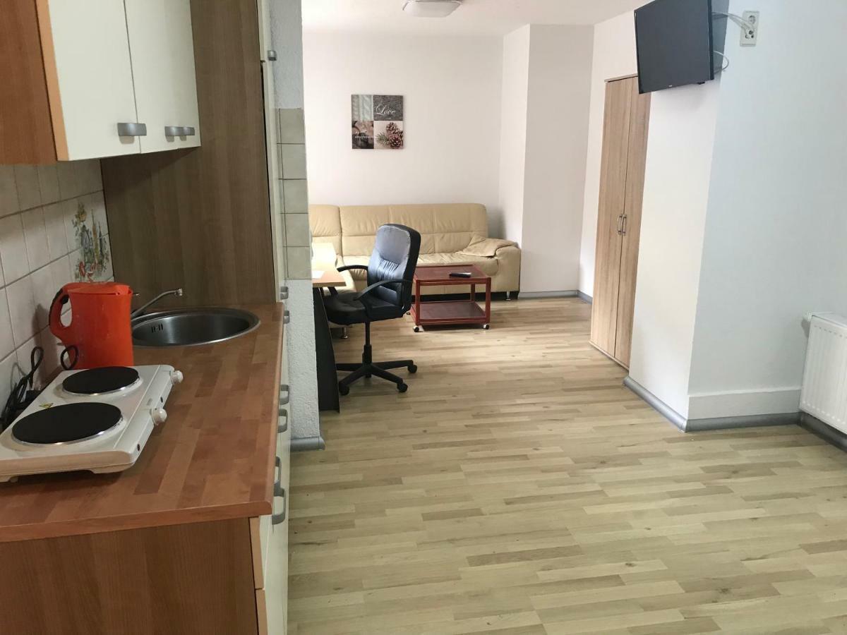 Appartment Mittweida Buitenkant foto